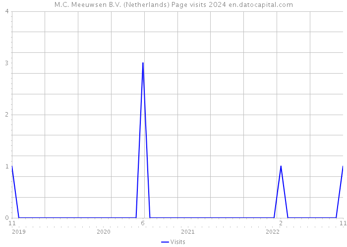 M.C. Meeuwsen B.V. (Netherlands) Page visits 2024 