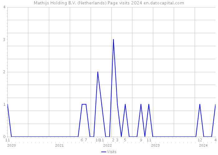 Mathijs Holding B.V. (Netherlands) Page visits 2024 