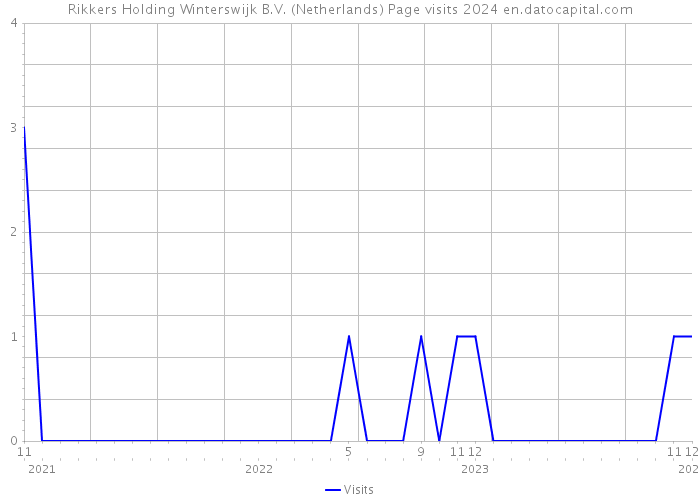 Rikkers Holding Winterswijk B.V. (Netherlands) Page visits 2024 