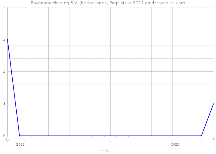 Rayhanna Holding B.V. (Netherlands) Page visits 2024 