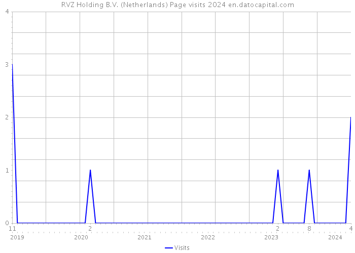 RVZ Holding B.V. (Netherlands) Page visits 2024 