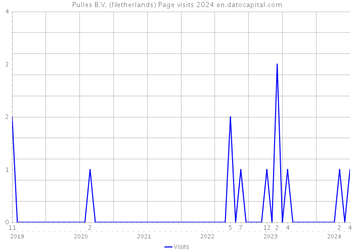 Pulles B.V. (Netherlands) Page visits 2024 