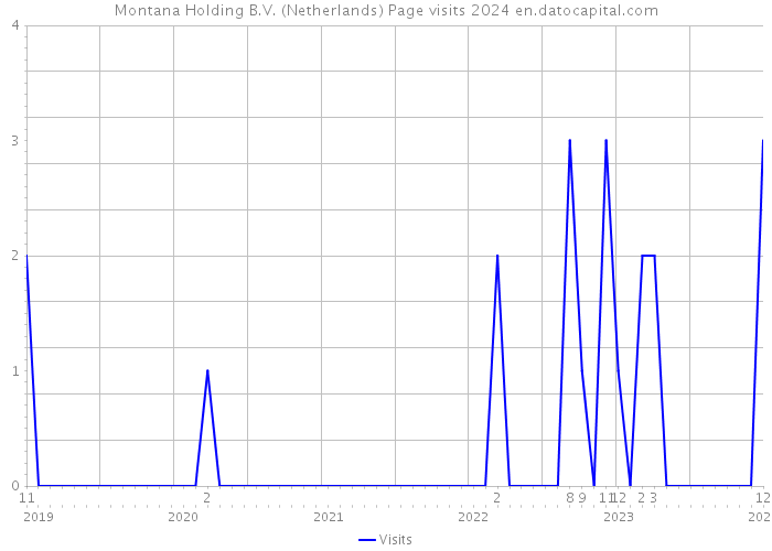 Montana Holding B.V. (Netherlands) Page visits 2024 