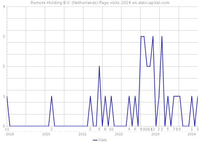 Remote Holding B.V. (Netherlands) Page visits 2024 