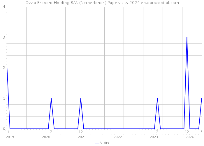 Ovvia Brabant Holding B.V. (Netherlands) Page visits 2024 