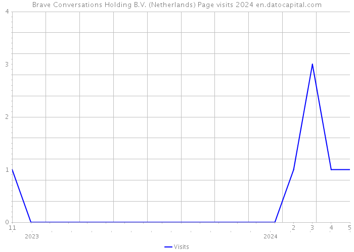 Brave Conversations Holding B.V. (Netherlands) Page visits 2024 