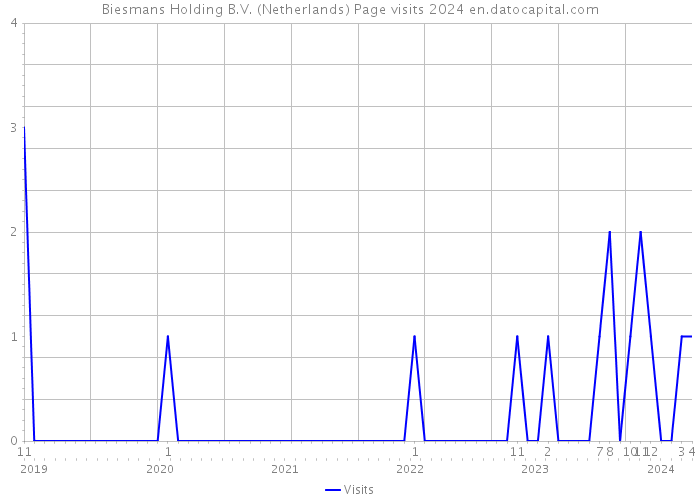Biesmans Holding B.V. (Netherlands) Page visits 2024 