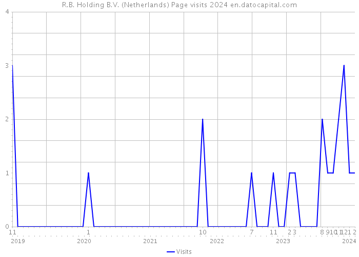 R.B. Holding B.V. (Netherlands) Page visits 2024 