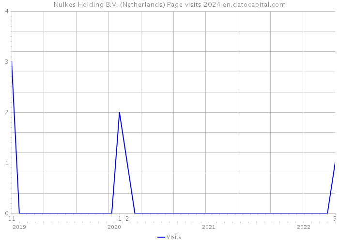 Nulkes Holding B.V. (Netherlands) Page visits 2024 