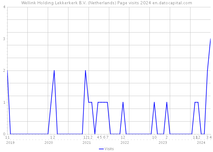 Wellink Holding Lekkerkerk B.V. (Netherlands) Page visits 2024 