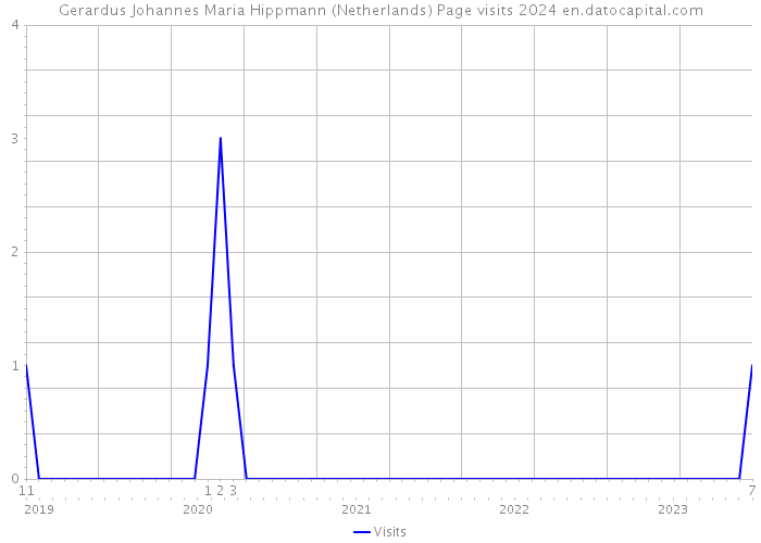 Gerardus Johannes Maria Hippmann (Netherlands) Page visits 2024 