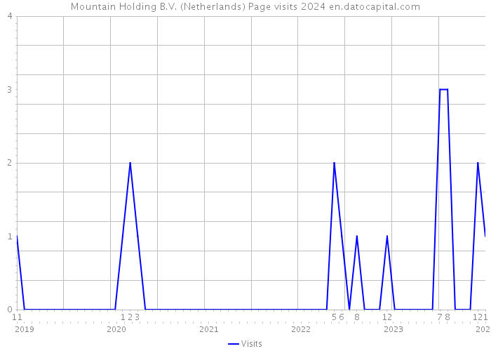 Mountain Holding B.V. (Netherlands) Page visits 2024 