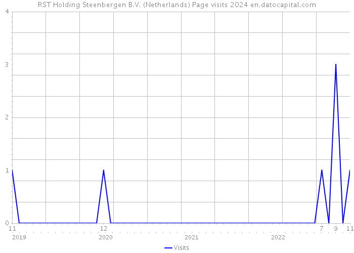 RST Holding Steenbergen B.V. (Netherlands) Page visits 2024 