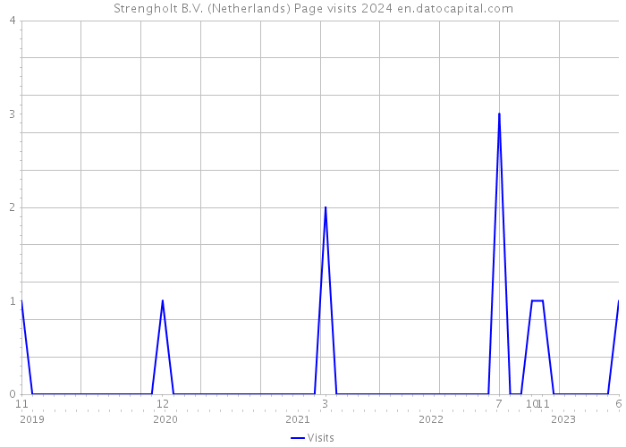 Strengholt B.V. (Netherlands) Page visits 2024 
