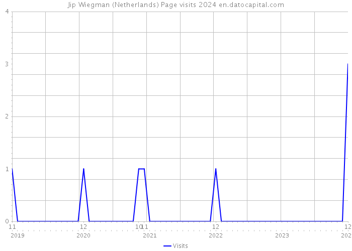 Jip Wiegman (Netherlands) Page visits 2024 
