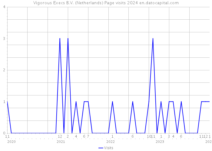 Vigorous Execs B.V. (Netherlands) Page visits 2024 