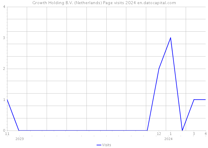 Growth Holding B.V. (Netherlands) Page visits 2024 