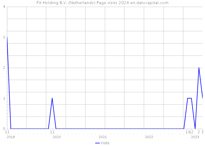 Fit Holding B.V. (Netherlands) Page visits 2024 