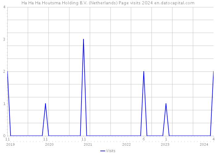 Ha Ha Ha Houtsma Holding B.V. (Netherlands) Page visits 2024 