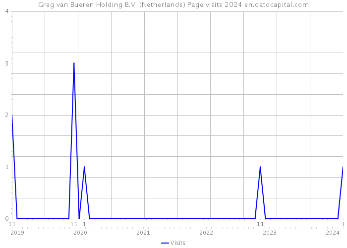 Greg van Bueren Holding B.V. (Netherlands) Page visits 2024 