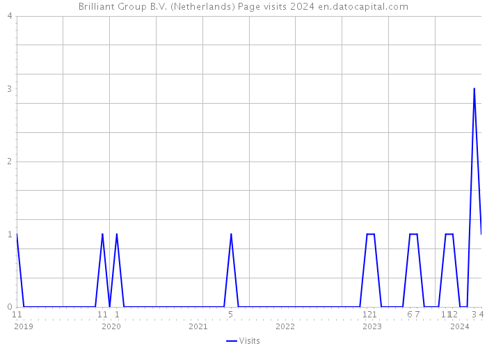 Brilliant Group B.V. (Netherlands) Page visits 2024 