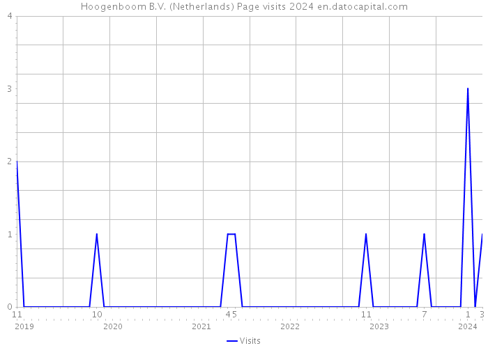Hoogenboom B.V. (Netherlands) Page visits 2024 