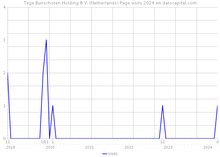 Tege Bunschoten Holding B.V. (Netherlands) Page visits 2024 