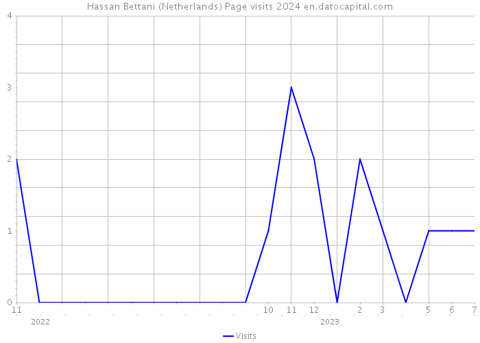 Hassan Bettani (Netherlands) Page visits 2024 
