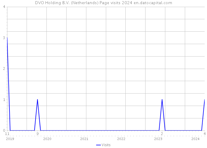 DVO Holding B.V. (Netherlands) Page visits 2024 