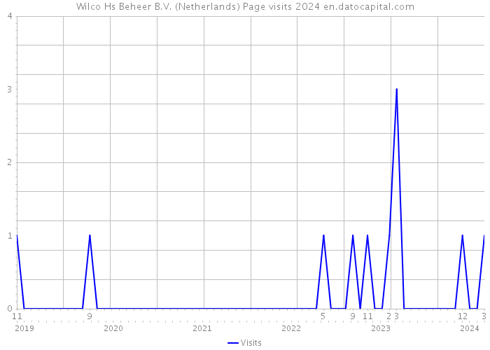 Wilco Hs Beheer B.V. (Netherlands) Page visits 2024 