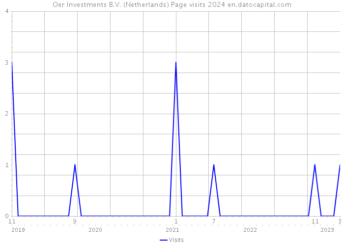 Oer Investments B.V. (Netherlands) Page visits 2024 