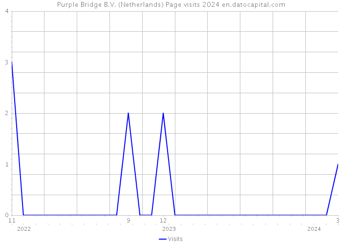 Purple Bridge B.V. (Netherlands) Page visits 2024 