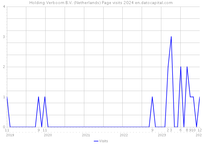 Holding Verboom B.V. (Netherlands) Page visits 2024 