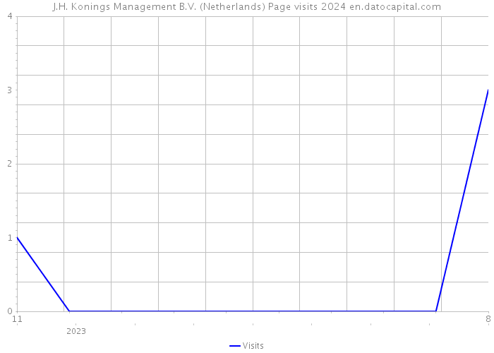 J.H. Konings Management B.V. (Netherlands) Page visits 2024 