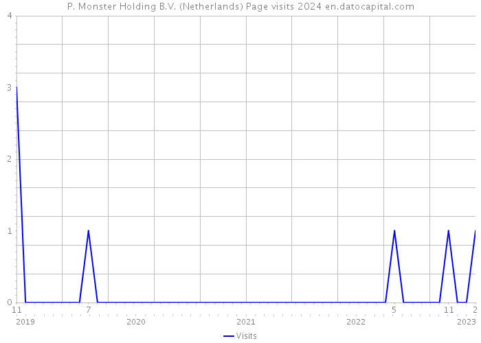 P. Monster Holding B.V. (Netherlands) Page visits 2024 