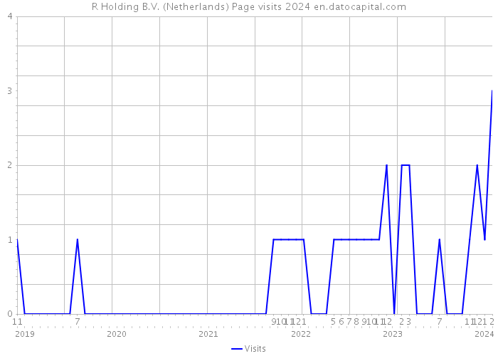 R Holding B.V. (Netherlands) Page visits 2024 