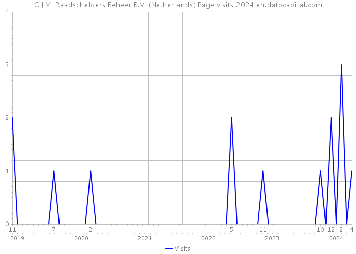 C.J.M. Raadschelders Beheer B.V. (Netherlands) Page visits 2024 