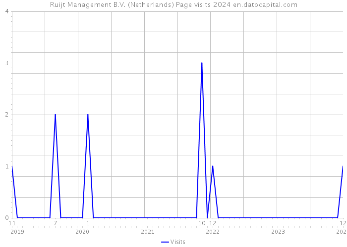 Ruijt Management B.V. (Netherlands) Page visits 2024 
