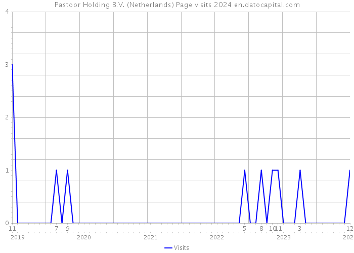Pastoor Holding B.V. (Netherlands) Page visits 2024 