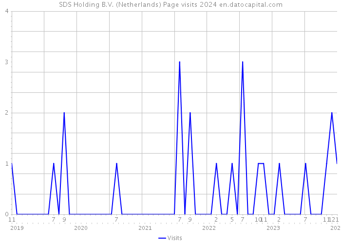 SDS Holding B.V. (Netherlands) Page visits 2024 