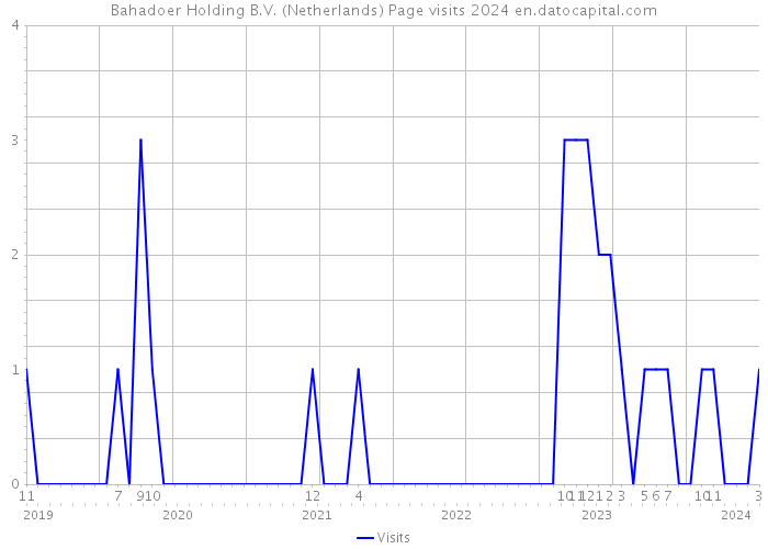 Bahadoer Holding B.V. (Netherlands) Page visits 2024 