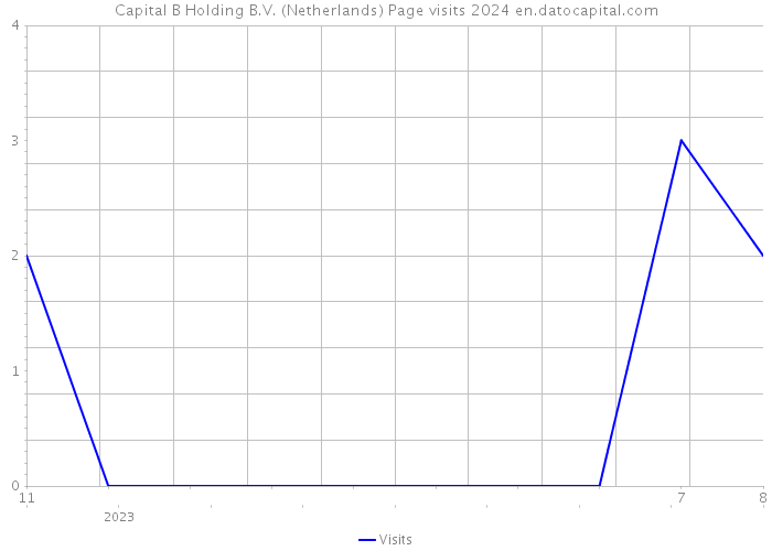 Capital B Holding B.V. (Netherlands) Page visits 2024 