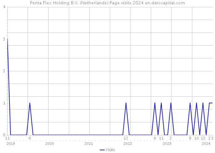 Penta Flex Holding B.V. (Netherlands) Page visits 2024 