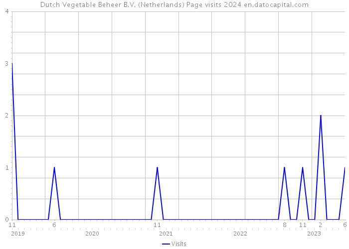 Dutch Vegetable Beheer B.V. (Netherlands) Page visits 2024 