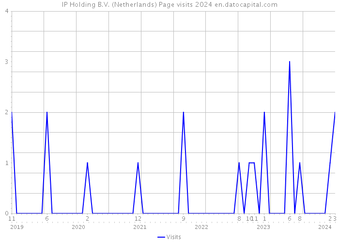 IP Holding B.V. (Netherlands) Page visits 2024 
