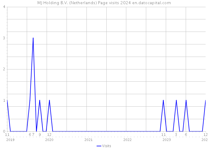 MJ Holding B.V. (Netherlands) Page visits 2024 