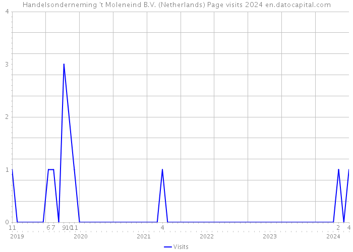 Handelsonderneming 't Moleneind B.V. (Netherlands) Page visits 2024 