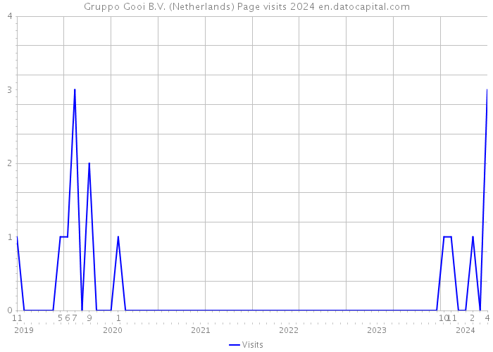 Gruppo Gooi B.V. (Netherlands) Page visits 2024 