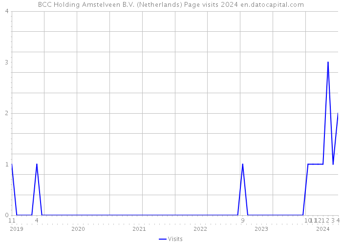 BCC Holding Amstelveen B.V. (Netherlands) Page visits 2024 