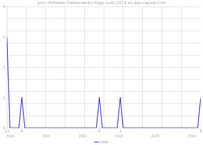 Joeri Hofstede (Netherlands) Page visits 2024 